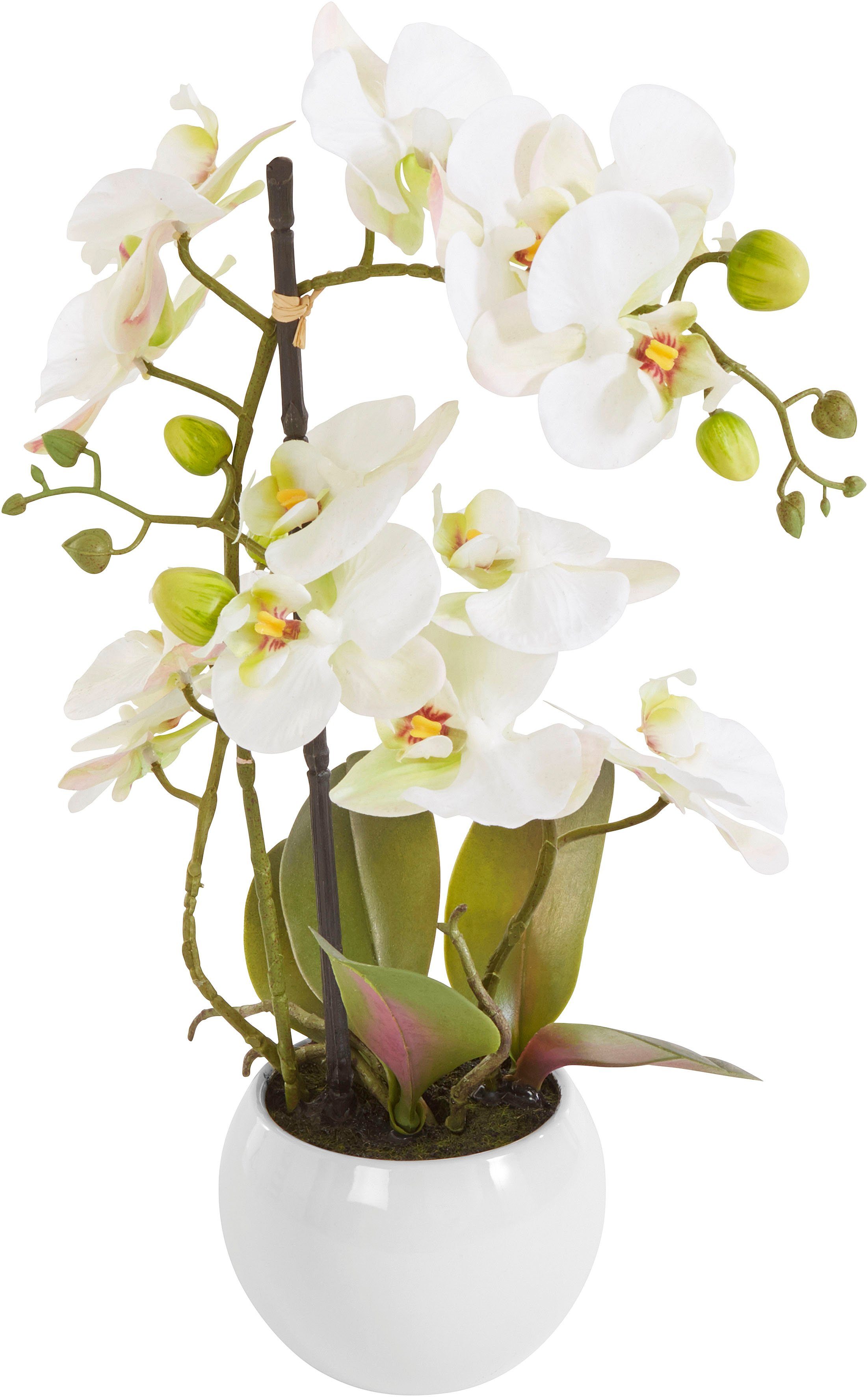 Kunstorchidee Ernestine Orchidee, DELAVITA, Höhe 42 cm, Kunstpflanze, im Topf