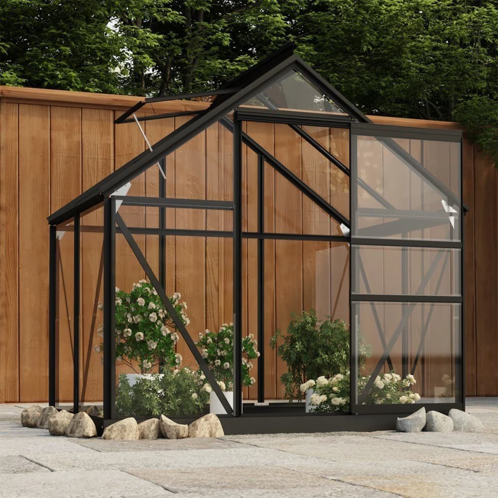 vidaXL Gewächshaus Glas Gewächshaus Anthrazit 155x103x191 cm Aluminium