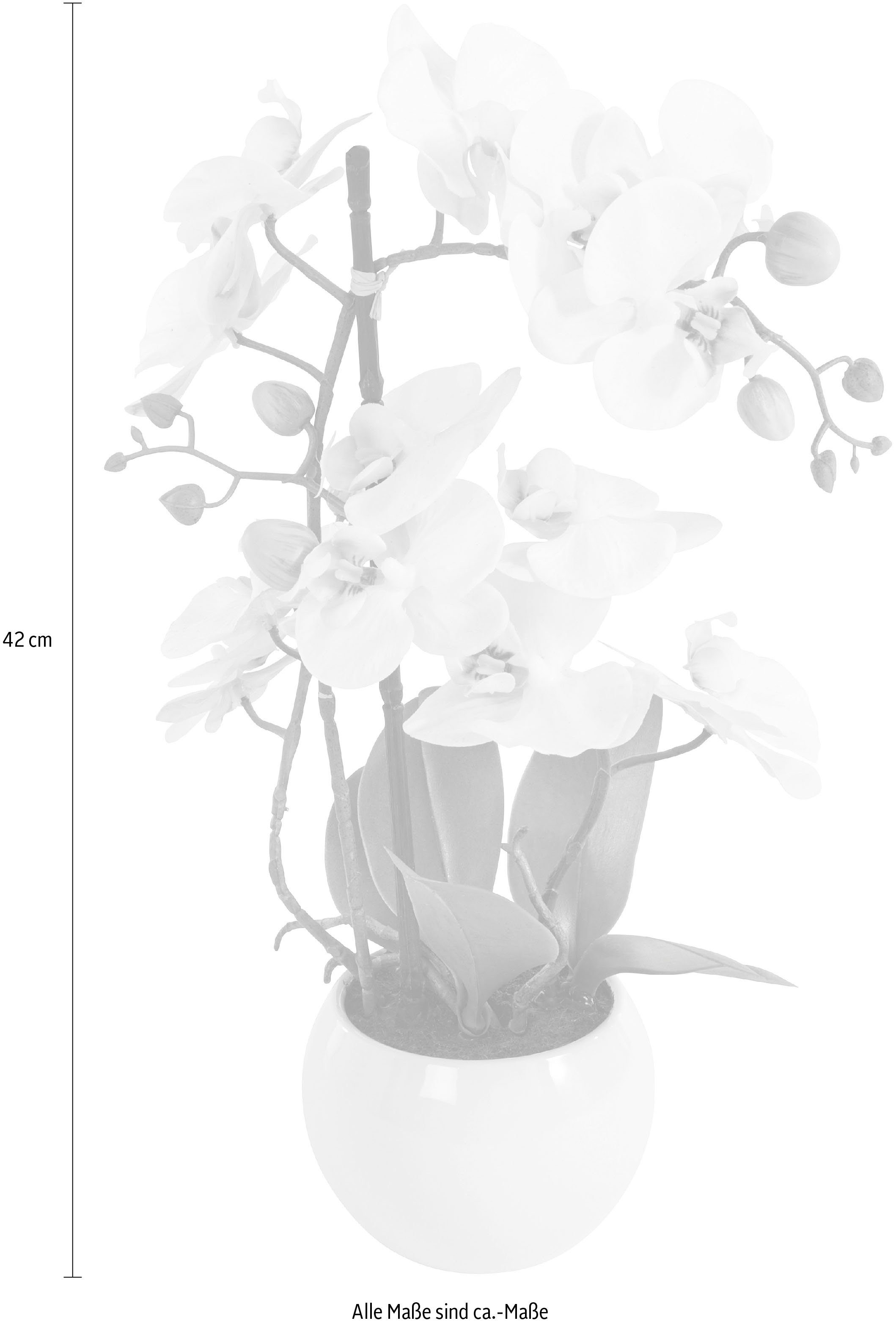 Kunstorchidee Ernestine Orchidee, DELAVITA, Höhe 42 cm, Kunstpflanze, im Topf